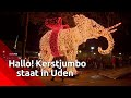 Geen enorme kerstboom, maar joekel van een kerstolifant in Uden