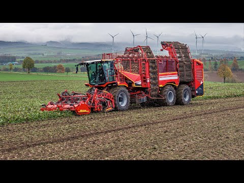 Der GRIMME REXOR 6300 im Einsatz!