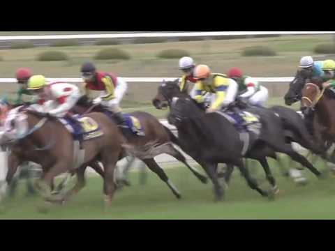 2017年4月9日 阪神競馬場 11R 第77回 桜花賞
