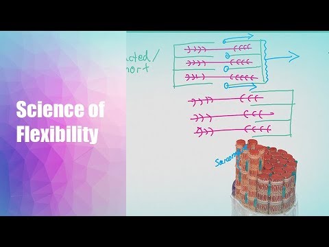 Science of Flexibility and Mobility | PART 1 | Sarcomeres & Sliding Filament Theory