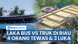 Tabrakan Maut di Pelalawan Riau Libatkan Bus PMH dan Truk Coltdiesel, 4 Orang Tewas dan 3 Terluka