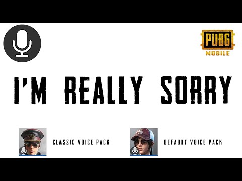 I'm Really Sorry | Pubg Classic Voice Pack Sound Effect