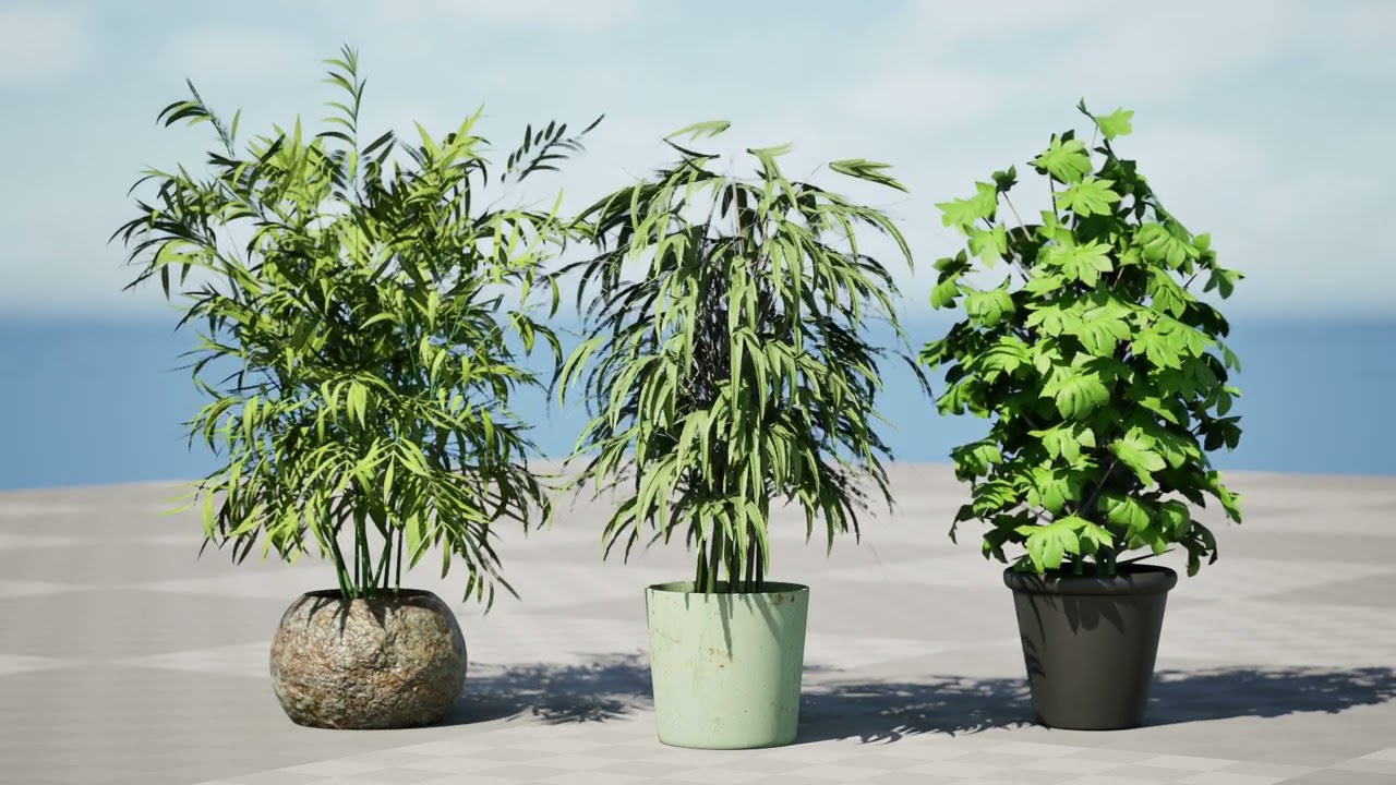 Palm Tree Potted Models 3D Model