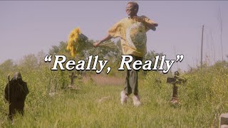 Cover art for Really, really