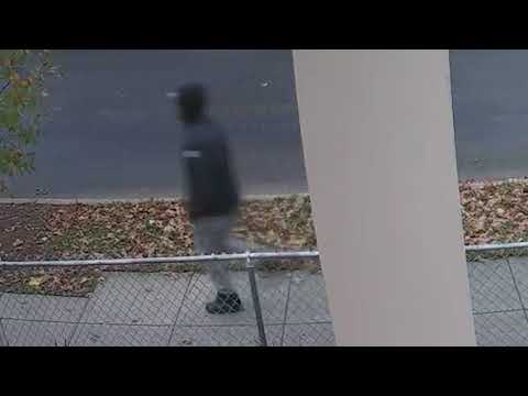 Person of Interest in ADW (Gun), 600 b/o Malcolm X Ave, SE, on November 15, 2020