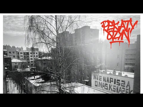 Pękaty x Qzyn - Battlefield ( feat. Tuwim )