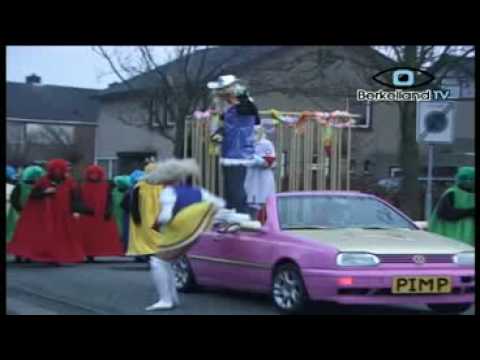 Optocht Rietmolen Berkelland TV