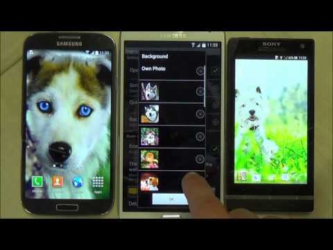 Dogs Wallpaper