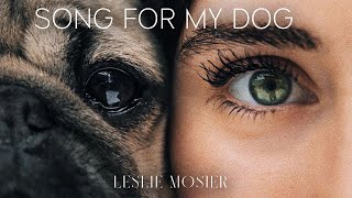Song For My Dog - Leslie Mosier