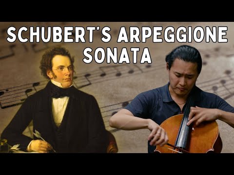 From The Arpeggione To The Cello