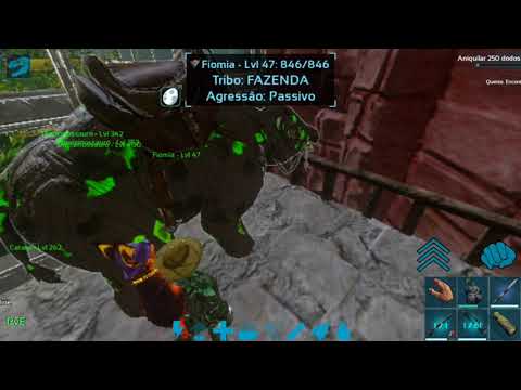 Domando o Escaravelho ( Besouro que gosta de coco)