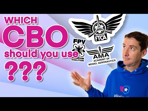 Good, Bad, and Ugly — What CBO Should You Use?