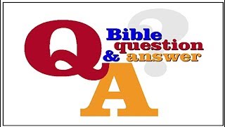 QUESTIONS & ANSWERS Pt. 1 - New Year's Eve