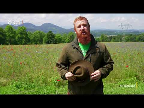 Odkryj Dolny Śląsk – Rudawy Janowickie, Kolorowe Jeziorka, Miedzianka, Góry Sokole