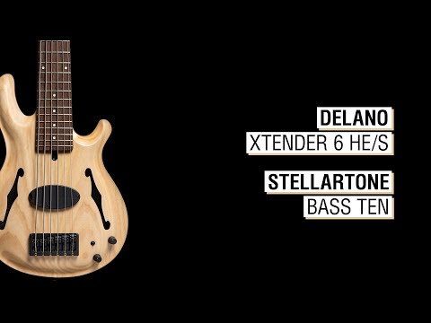 Delano Xtender 6 HE/S + Stellartone Bass Ten - Mensinger Joker B 6p Hollowbody 30"