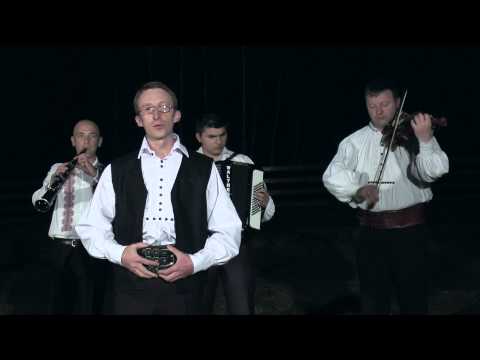 Cristian Ciprian  Crisan Cucuruz cu frunza in sus