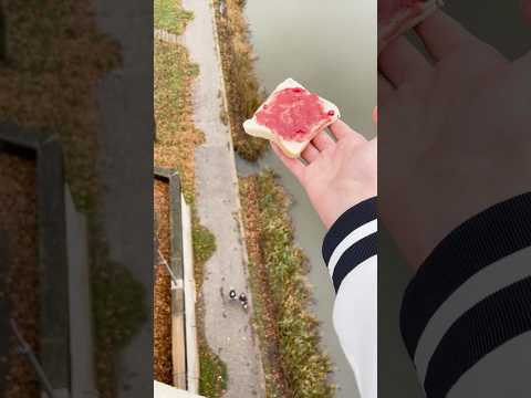 LACHER UNE TARTINE DE 30M DE HAUT POUR VOIR SI ELLE TOMBE SUR LE COTÉ DE LA CONFITURE !😂#shorts#irl