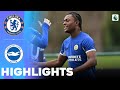 Chelsea vs Brighton | Highlights | U18 Premier League 13-03-2024