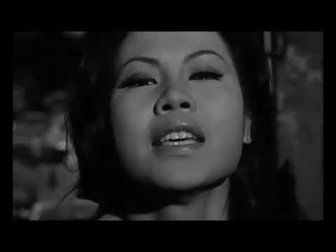 The Continental Co-Ets - Medley Of Junk  (Minnesota 1966) Instro Garage Rock