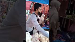 Download lagu Alim di bobodo #coversong mp3