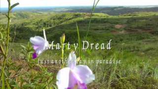 Marty Dread- Just another day in  paradise.
