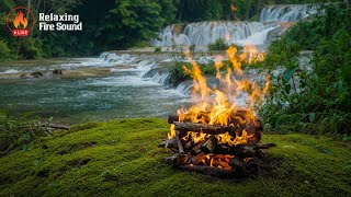 Campfire in the Forest by the Stream 🔥 100% Authentic Video