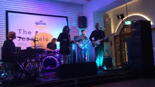&#39;Got Velvet&#39; - The Jezabels @ Corona SunSets FULL Show - Clovelly Hotel 14/03/2019