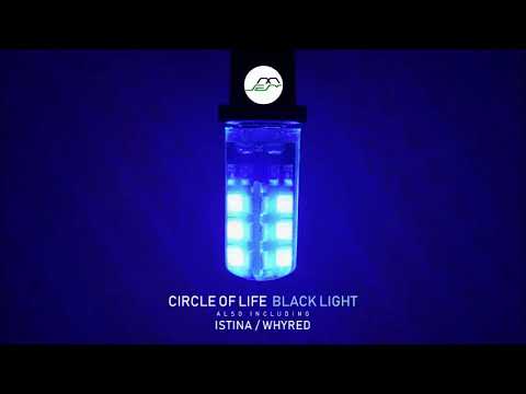 Circle of Life - Istina (Original Mix) [Movement Recordings]