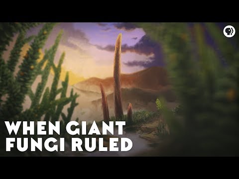 When Giant Fungi Ruled Video
