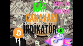 KÂR CANAVARI İNDİKATÖR TRİPLE MA, %200 KARI ÖN GÖREN TEKNİK ANALİZ ARA