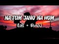Na Tum Jano Na Hum Slowed Reverb Lucky Ali Kaho Na Pyaar Hai Hrithik Roshan Indian Lofi