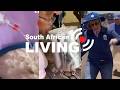 South Africa Is A Comedy Series