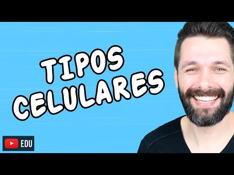 TIPOS DE CÉLULAS (Tipos Celulares) | Biologia com Samuel Cunha