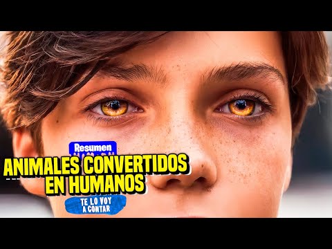 UN NIÑO QUE PUEDE TRANSFORMARSE EN PUMA SE UNE A UNA ESCUELA PARA GENTE CON SUPERPODERES | RESUMEN