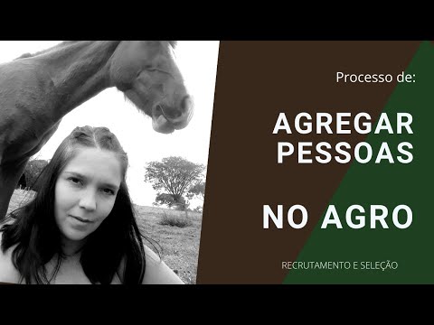 Agregar Pessoas - Recrutamento e Seleção de novos talentos para o seu negócio.