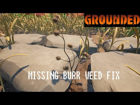 GROUNDED | MISSING BURR WEED FIX