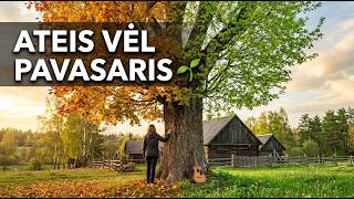 Neliūdėk, Ateis Vėl Pavasaris 🍂 | Lietuviška Daina su Žodžiais
