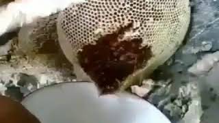 Чудеса Аллаха