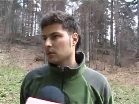 Caldura a scos ursii din barlog
