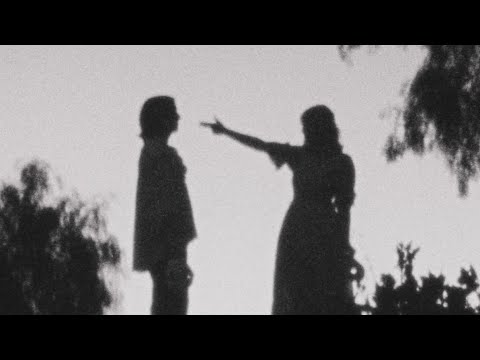The Dove - Baby Bugs