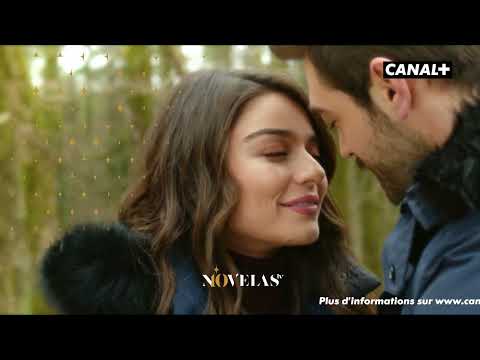 10 YEARS OF TV NOVELS