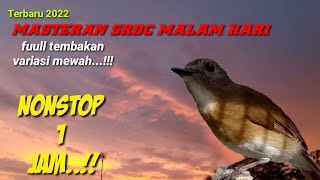 Download lagu full duration srdc bird master, luxurious stuffing, race bird master mp3