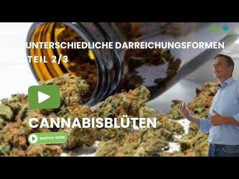 Darreichungsformen (2/3): Sativa, Indica & Hybrid - Wirkung & medizinische Unterschiede!
