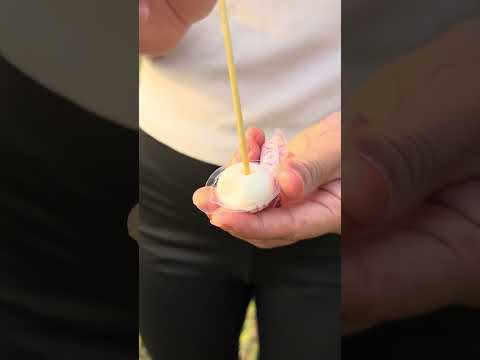 How to eat round candy balls correctly #bushcraft #survival #shorts #camping