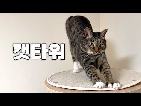 전 진짜 안사려고 했거든요...