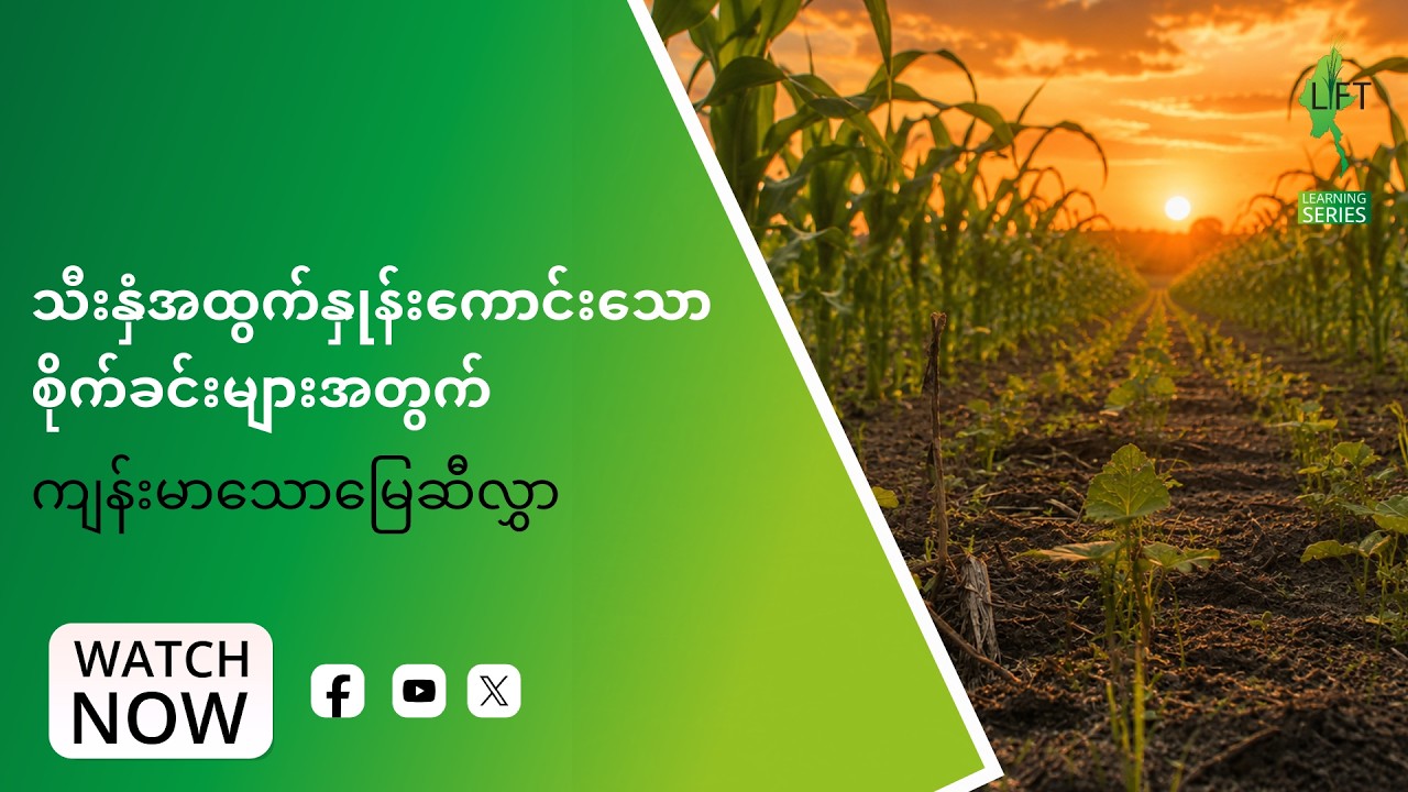 Healthy soil is the foundation of resilient agriculture_MMversion