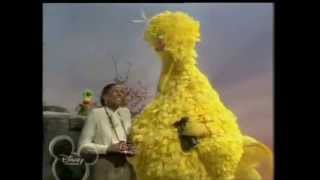 Muppets - Leslie Uggams & Big Bird - Love will keep us together