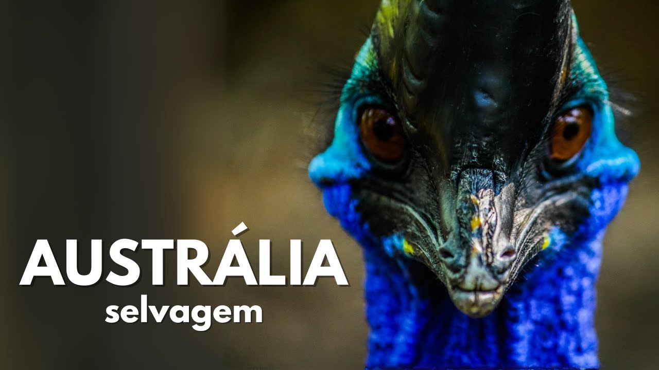 Austrália Selvagem!