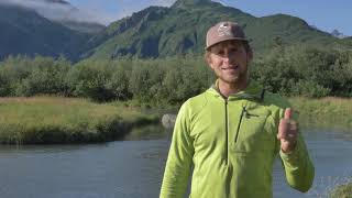 BIJS in the Field: Episode 1 - Alaska's Temperate Rainforests