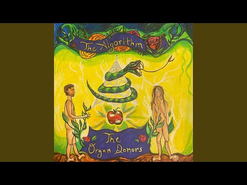 Analog Girl in a Digital World